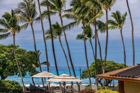 Condo, 1 King Bed (Kona Isle E23) | Property grounds