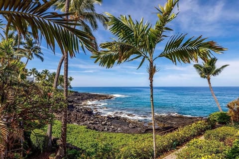 Condo, 1 King Bed, Ocean View (Kona Makai 1-204 Oceanview! AC! Remod) | Beach | Beach nearby
