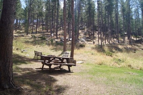 9913B226 9DF0 4B49 A2FA 3607BFEB80C4 1 105 c