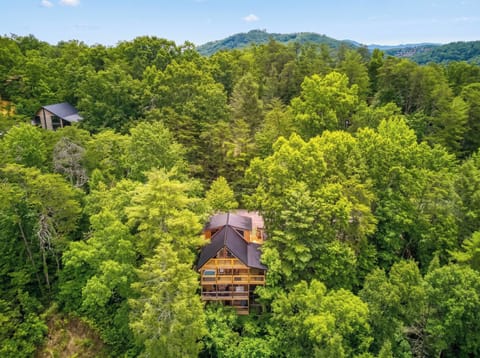 Pigeon Forge Log Cabin "Bearadise Mountain Lodge" - Located in the Great Smoky Mountains