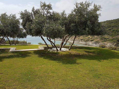 View from the veranda 