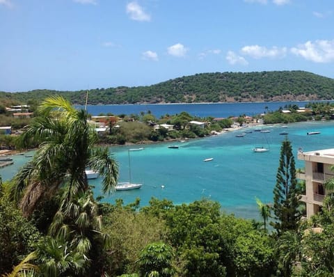 Amazing Views!