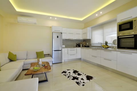 Katoi Apartment  1 in Agios  Georgios  Pagoi kitchen and living room
