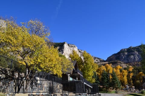Beautiful fall colors! Every season is breathtaking in the canyon.

