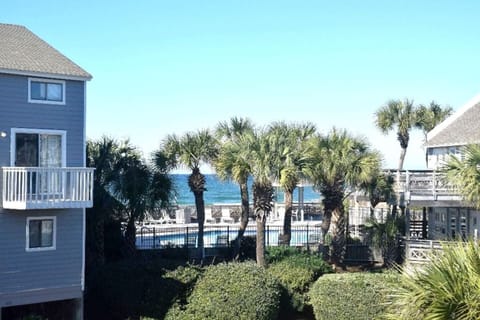 Step outside and this is your view — palm trees, the beachfront pool, and the Gulf of Mexico glittering in the distance. The beach is 40 steps from here.
