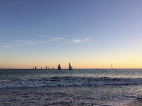 Watch the Sailboats 
