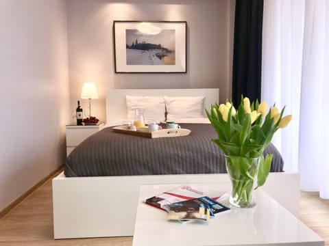 Comfort Studio Suite | Blackout drapes, soundproofing, iron/ironing board, free WiFi