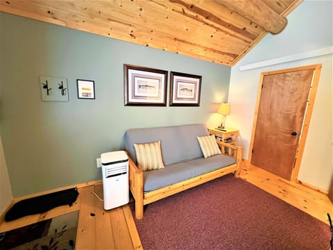 Full sized futon in living room with AC unit