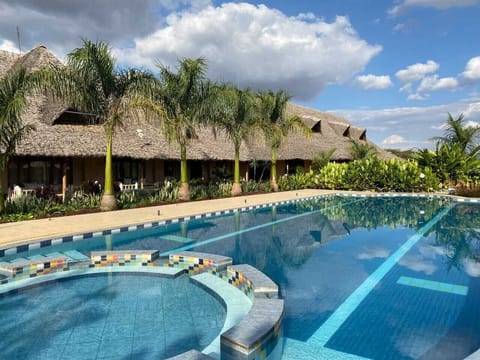 Outdoor pool, pool umbrellas, sun loungers