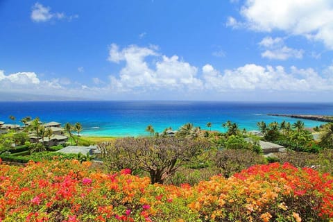 Spectacular, sweeping ocean views are all yours
