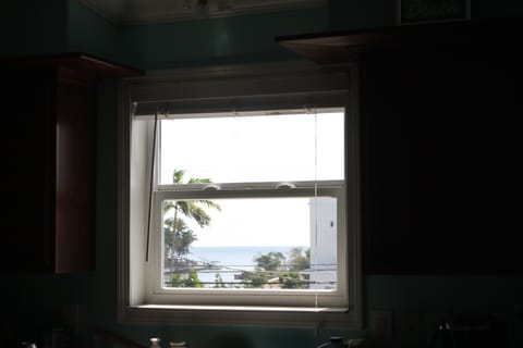 view out kitchen window