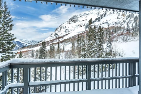 5 View from the Deck