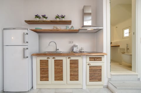 Deluxe Apartment | Private kitchen | Fridge, stovetop