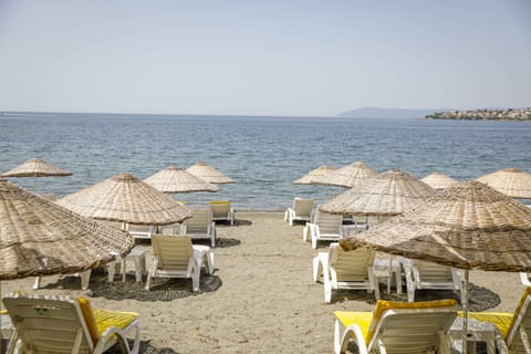 Private beach, sun loungers, beach umbrellas