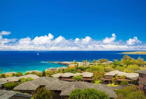 Imagine waking up to these views in a NEWLY REMODELED Ridge Villa