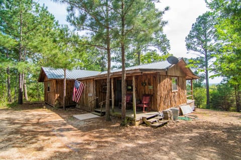 Cabin under the tall pines with great views