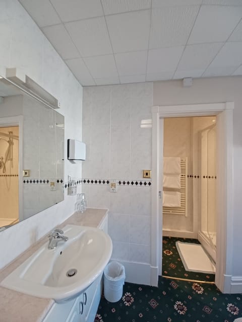 Triple Room | Bathroom | Shower, free toiletries, hair dryer, towels