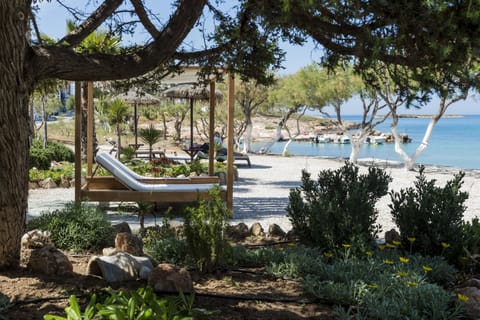 On the beach, sun loungers, beach umbrellas, beach towels