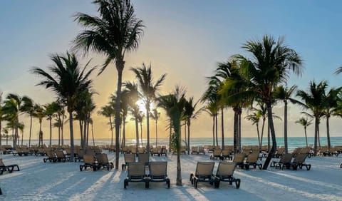 4 outdoor pools, sun loungers