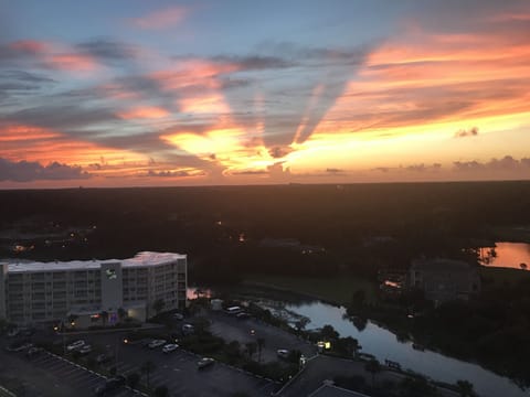Enjoy breath taking marsh sunsets while having the ocean as your front yard 