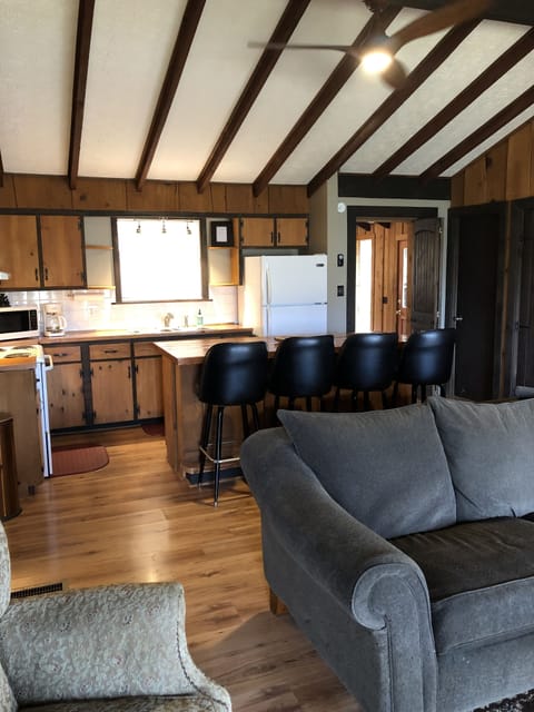 Living and kitchen area