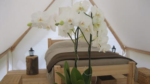 Tent (Lodge Couple) | Individually decorated, individually furnished, free WiFi, bed sheets