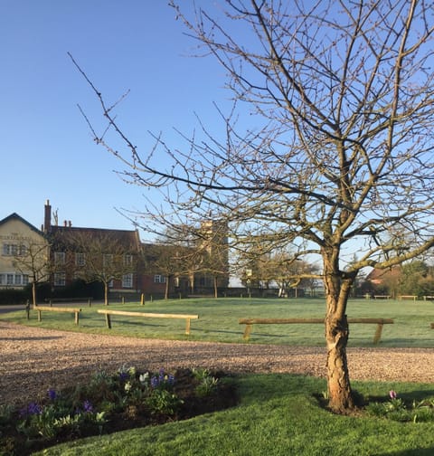 View of village green