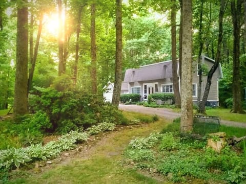 Surrounded by greenery, this cottage offers a private, peaceful retreat.