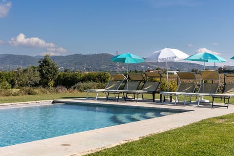 Garden, Outdoor, Pool, Scenic View