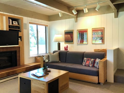 Living room with fireplace, TV, sound system and two couches, one becomes a bed.