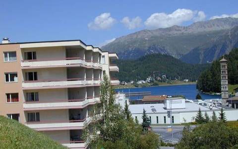Main view