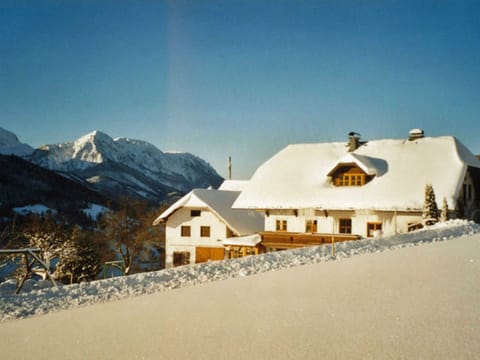 Minabauer - Apartment 1 Farm Stay in Altmünster