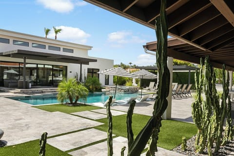 Stunning backyard with plenty of space