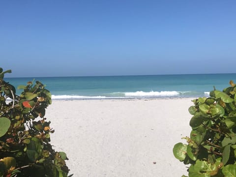 Beach View