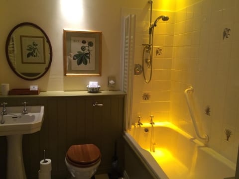 Free toiletries, hair dryer, towels, toilet paper