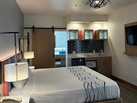 Superior Room, 1 King Bed, Non Smoking (Upgrade) | Desk, laptop workspace, blackout drapes, iron/ironing board