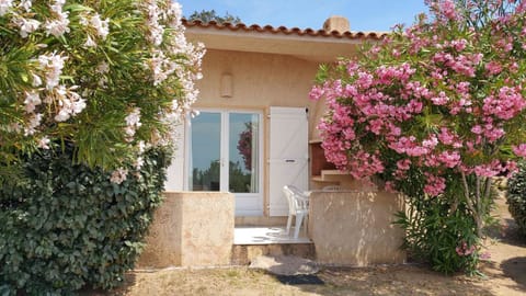 N°4 Terrasse