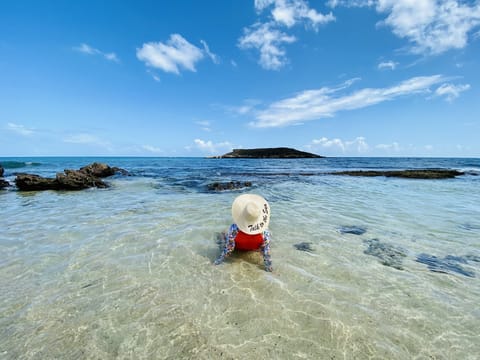 Small pools on the beach
