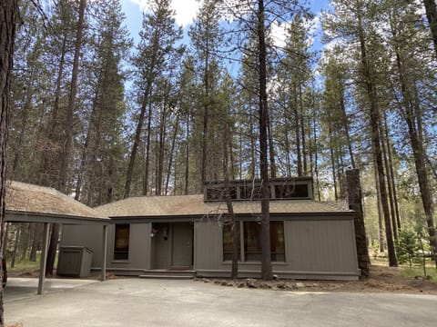 Welcome to Squirrel #3!