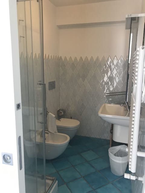 Shower, hair dryer, bathrobes, bidet