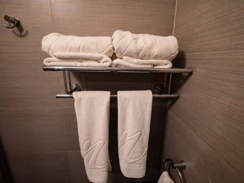 Rainfall showerhead, free toiletries, hair dryer, bathrobes