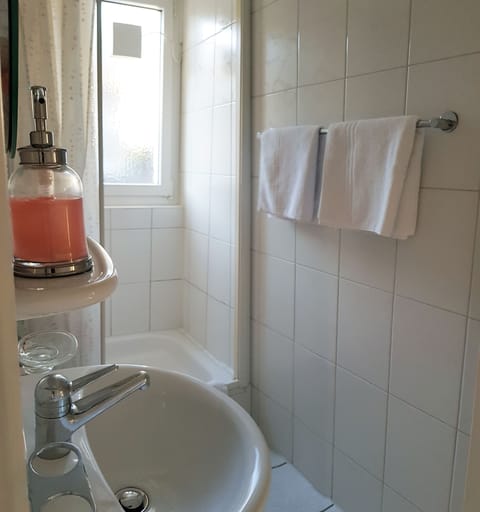 Basic Triple Room | Bathroom | Shower, hair dryer, towels, soap