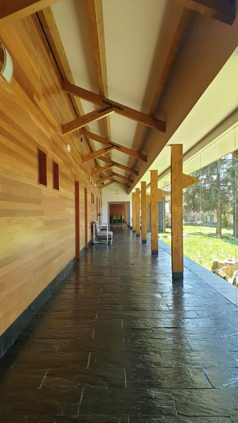Shared Dormitory (1 bed in a 6-Bed Dormitory Room) | Free WiFi
