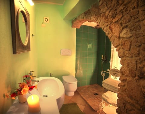 Shower, free toiletries, hair dryer, bidet