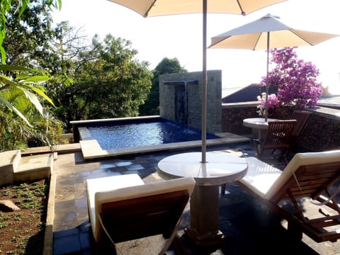 Pool and sun lounges