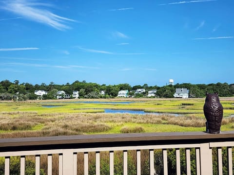 Marsh & Creek View from Deck