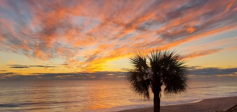 Brilliant Sunrise