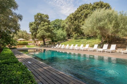 Pool with sunbeds area