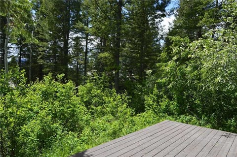 Wooded Deck View
