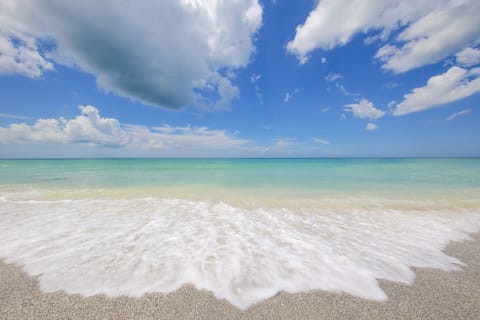 beautiful Siesta Beach